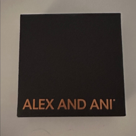 Alex and Ani sterling silver birthstone bangle charm bracelet February - Picture 3 of 4